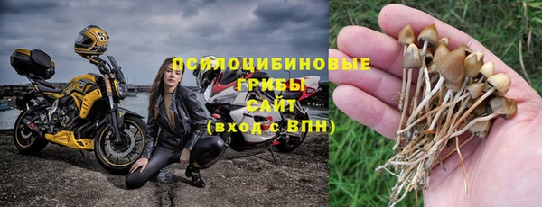 кристаллы Мегион