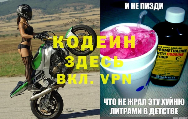 СК Елизово